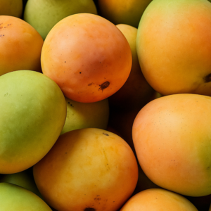Alphonso Mangoes (Hapus) – Konkan