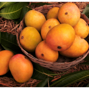 Alphonso Mangoes (Hapus) – Konkan
